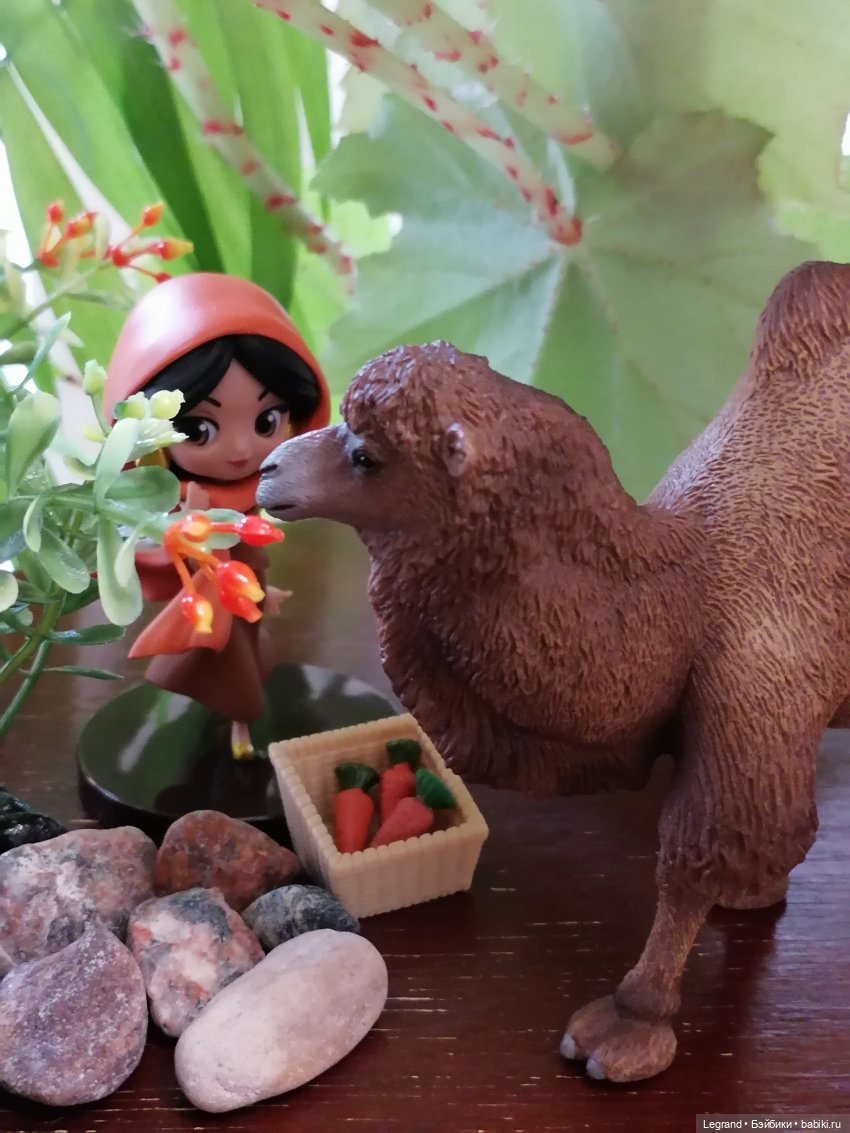 Верблюд в Лурении, или Жасмин и Кираз