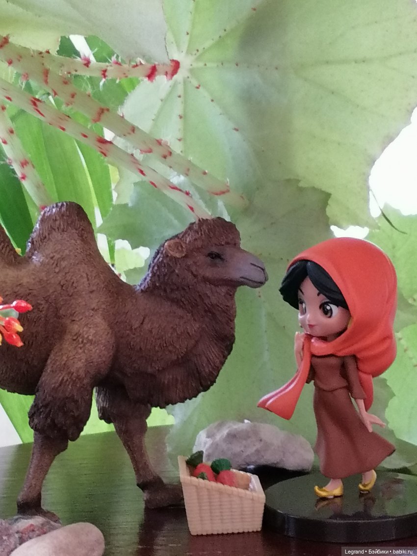 Верблюд в Лурении, или Жасмин и Кираз