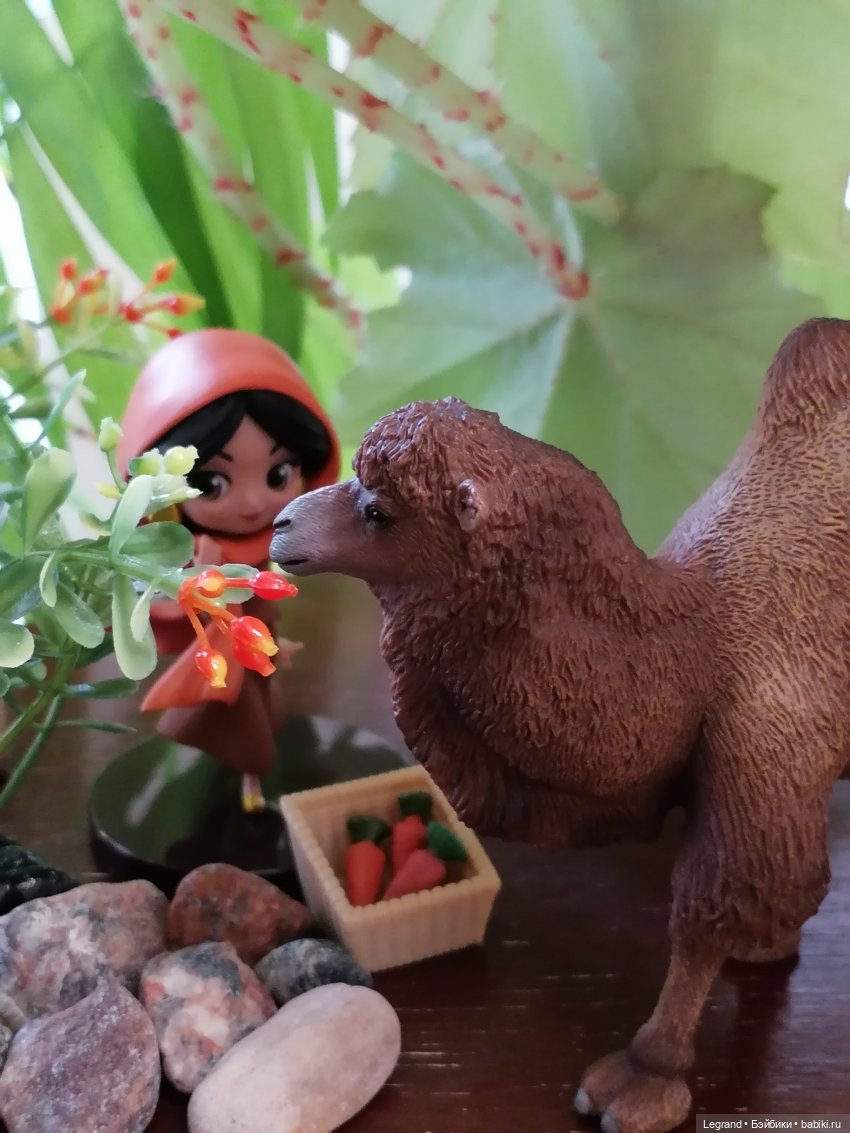 Верблюд в Лурении, или Жасмин и Кираз (фото 3)