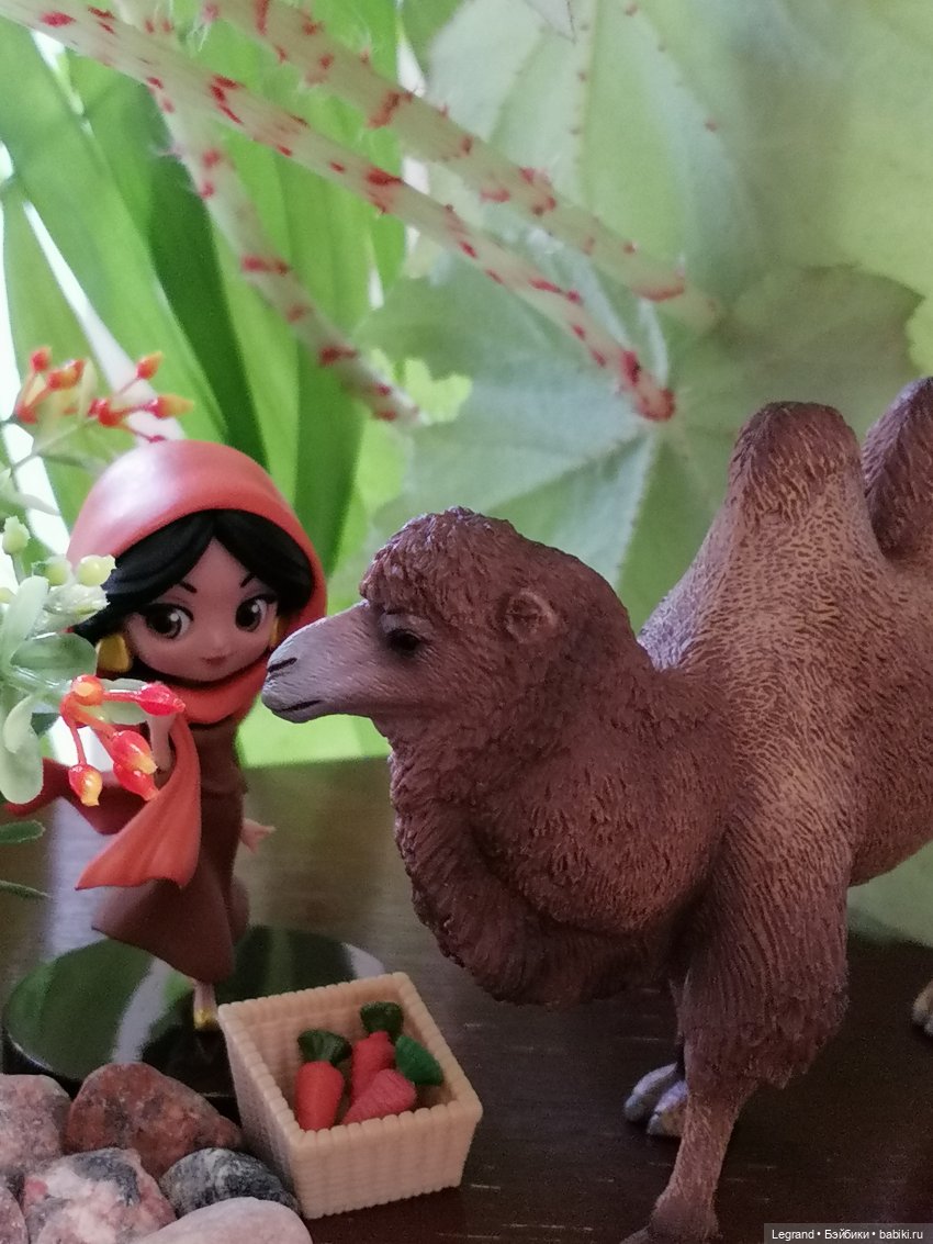 Верблюд в Лурении, или Жасмин и Кираз