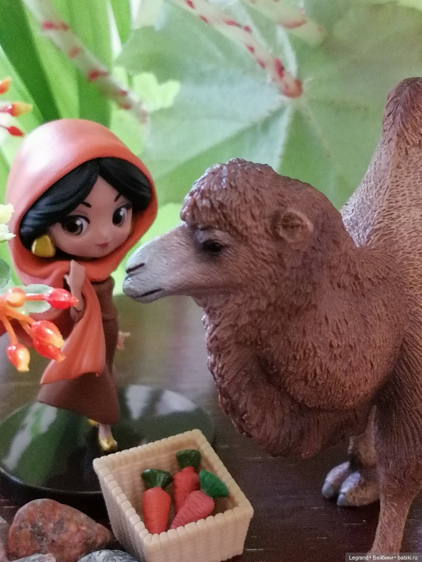 Верблюд в Лурении, или Жасмин и Кираз