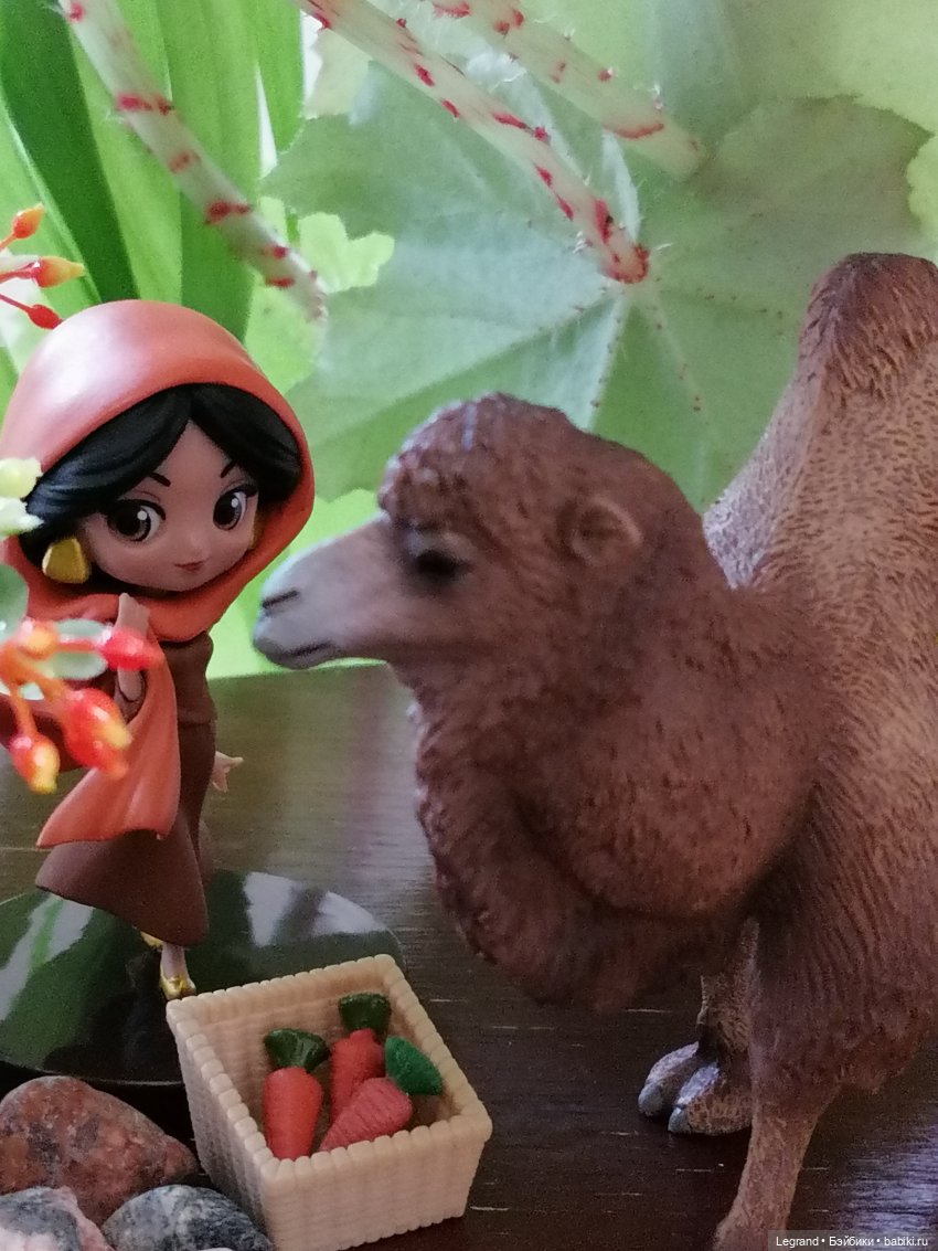 Верблюд в Лурении, или Жасмин и Кираз