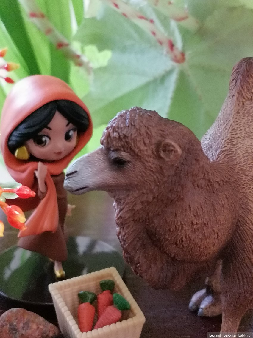 Верблюд в Лурении, или Жасмин и Кираз