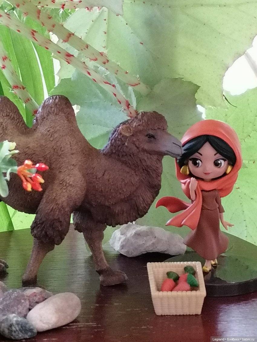 Верблюд в Лурении, или Жасмин и Кираз