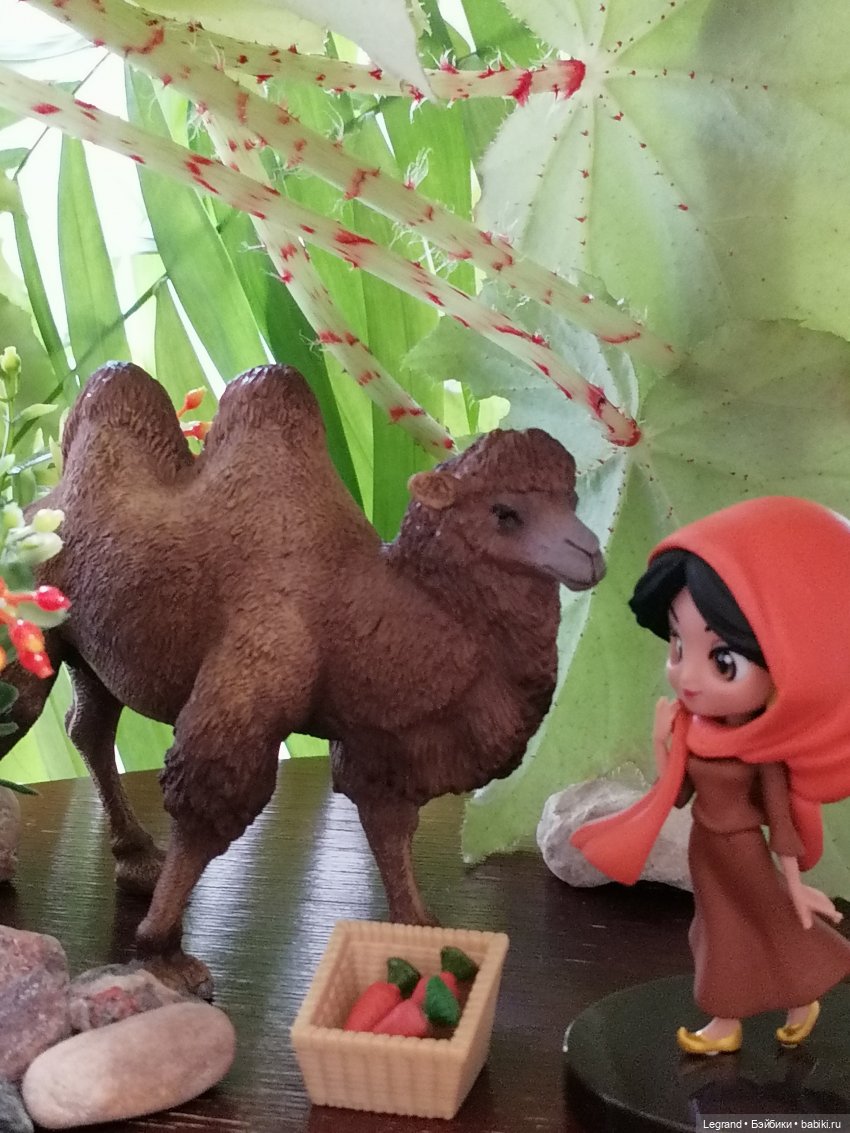 Верблюд в Лурении, или Жасмин и Кираз