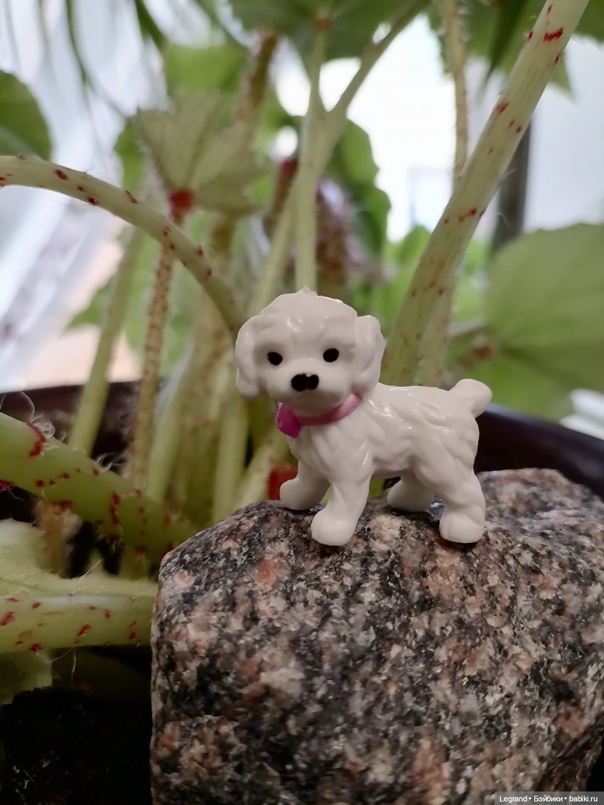 Маленькие луренцы: А ты крутишь головой