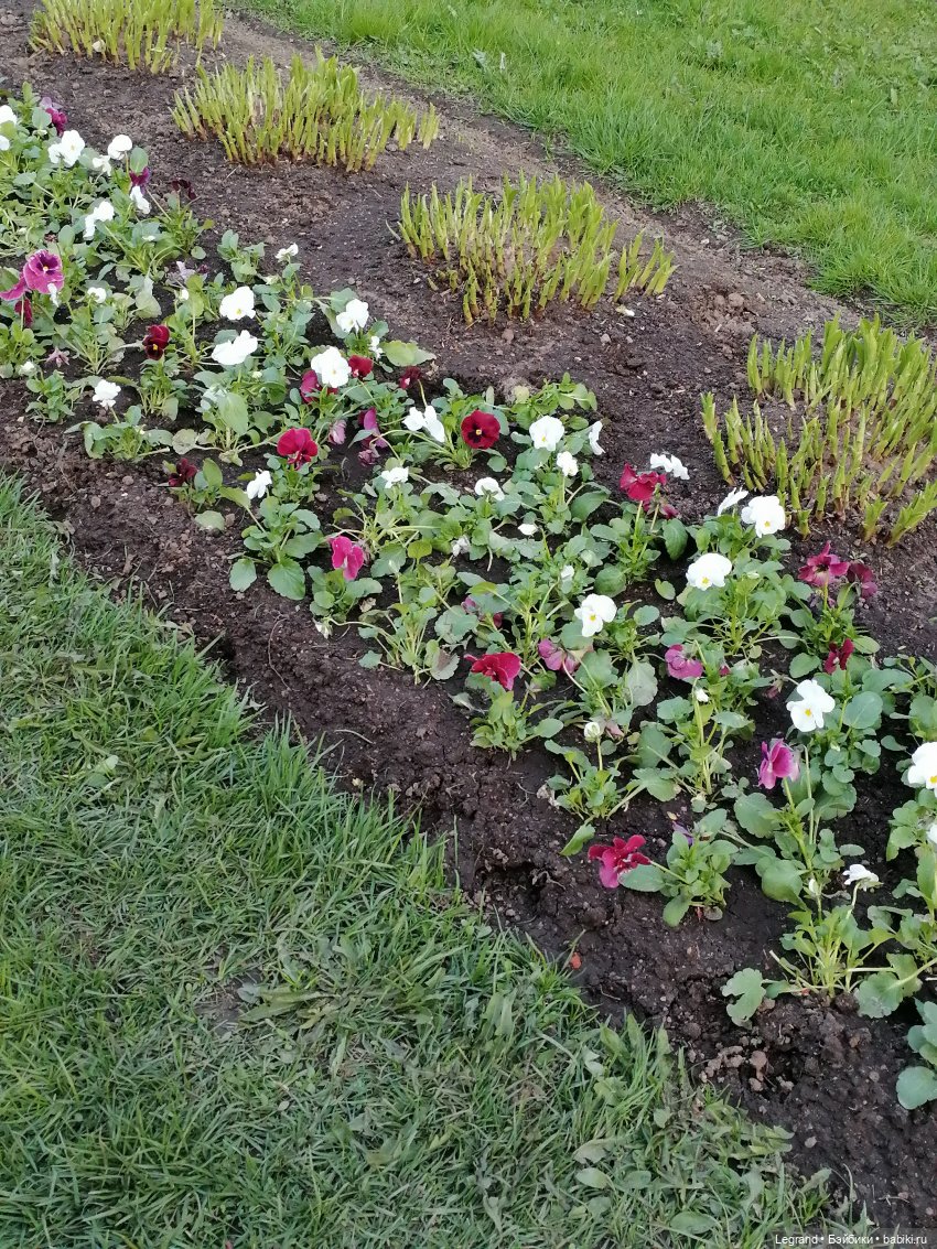 Санкт-Петербург: в Таврическом саду с Джаном