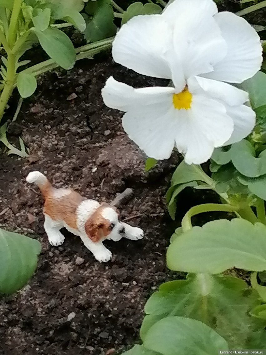 Санкт-Петербург: в Таврическом саду с Джаном