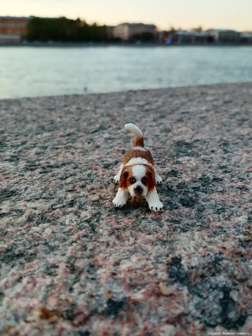 Санкт-Петербург: закат на Неве - прогулка с Джаном