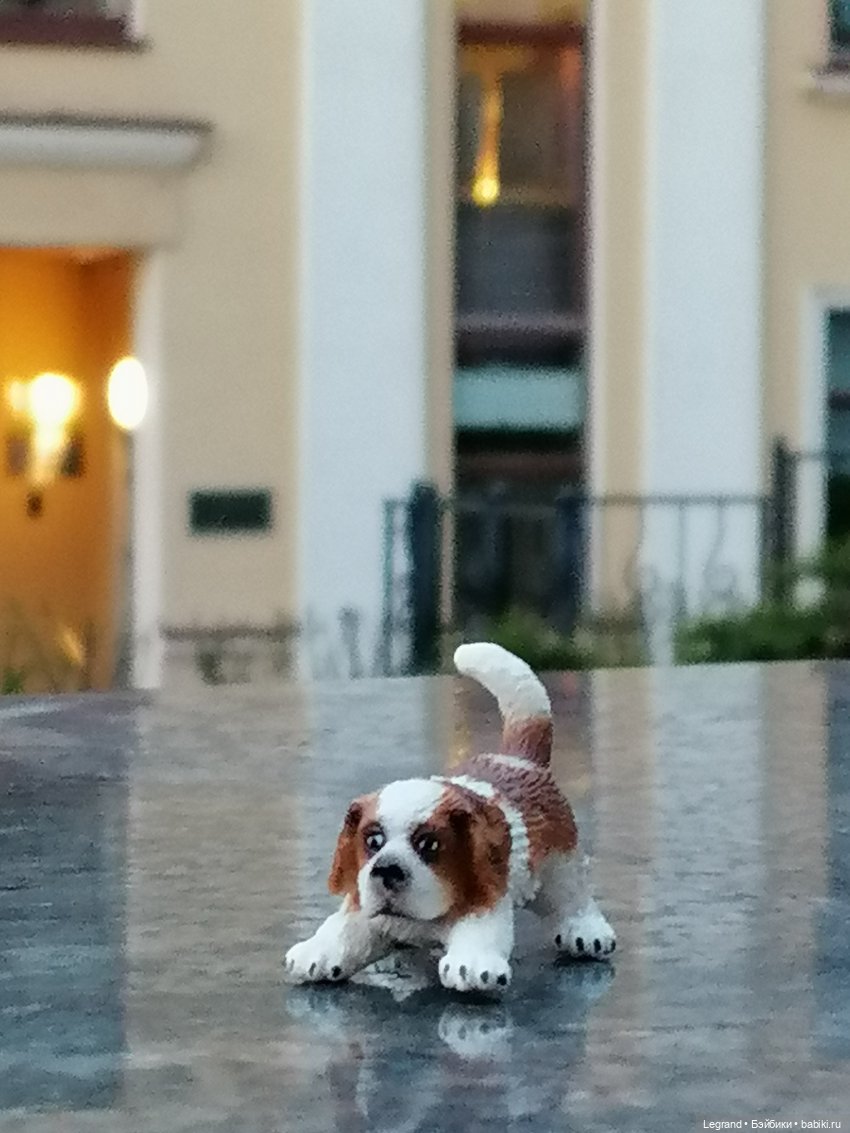 Санкт-Петербург: в Таврическом саду с Джаном