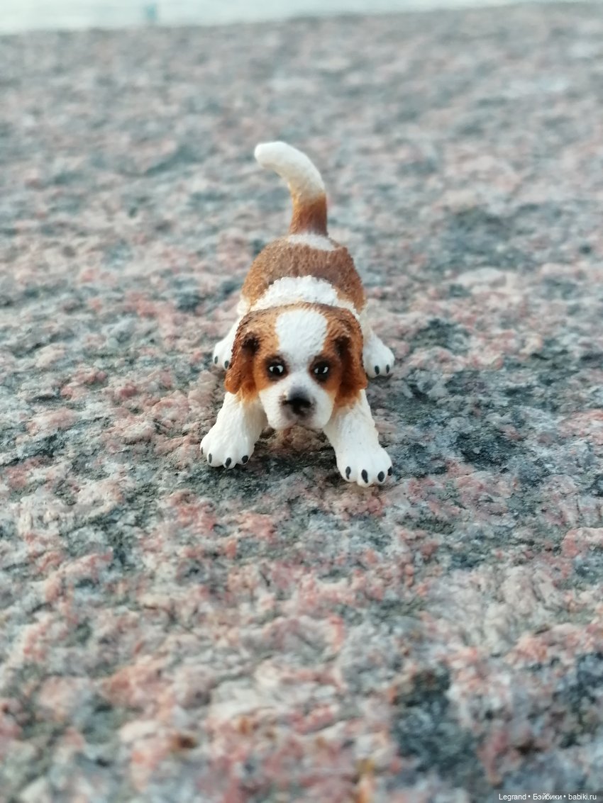 Санкт-Петербург: закат на Неве - прогулка с Джаном