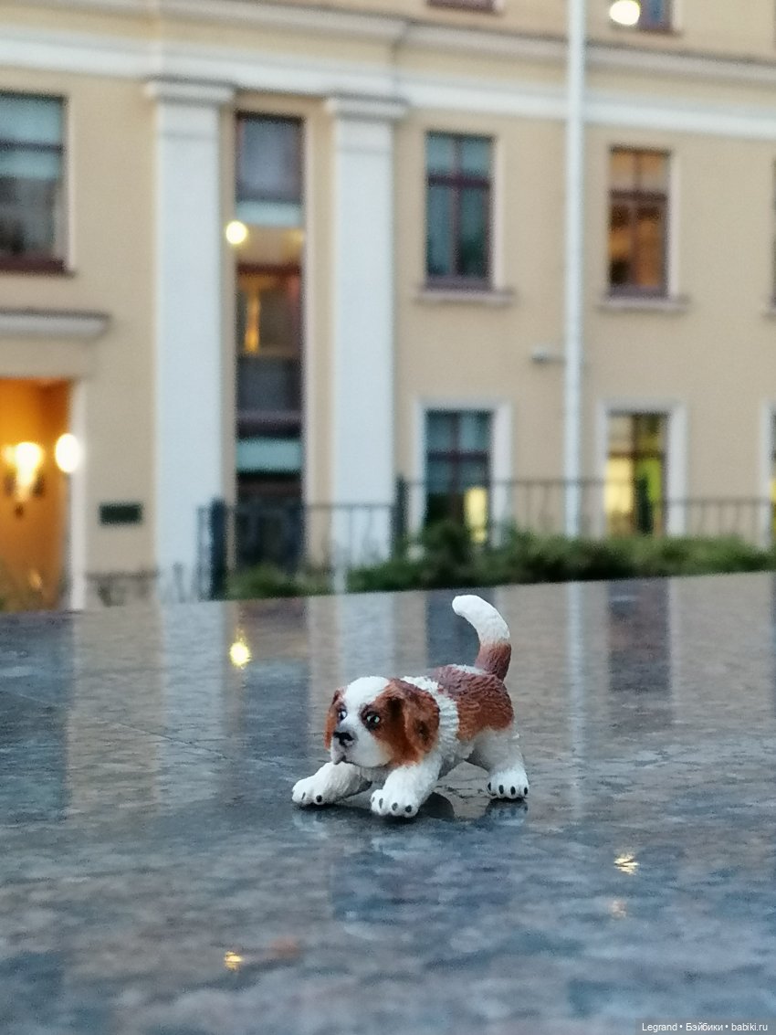 Санкт-Петербург: в Таврическом саду с Джаном