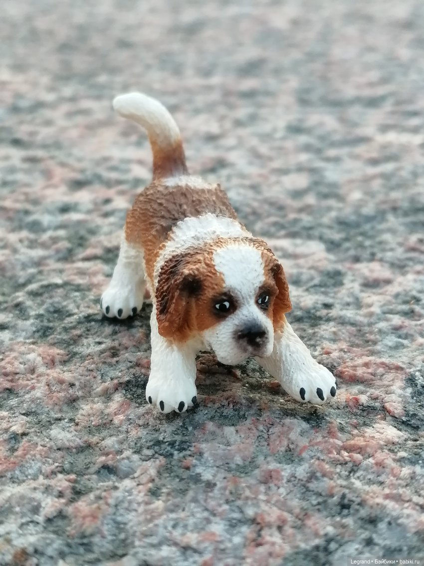 Санкт-Петербург: закат на Неве - прогулка с Джаном