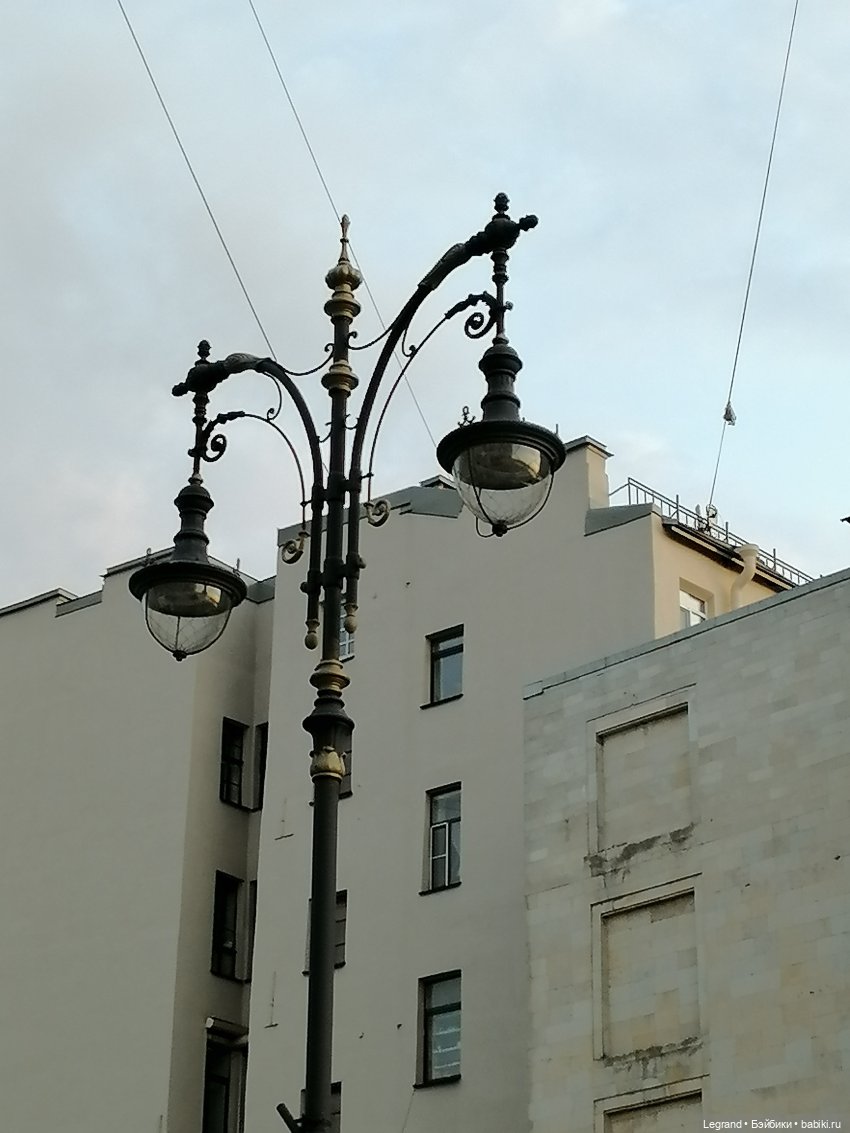 Санкт-Петербург: в Таврическом саду с Джаном (фото 7)