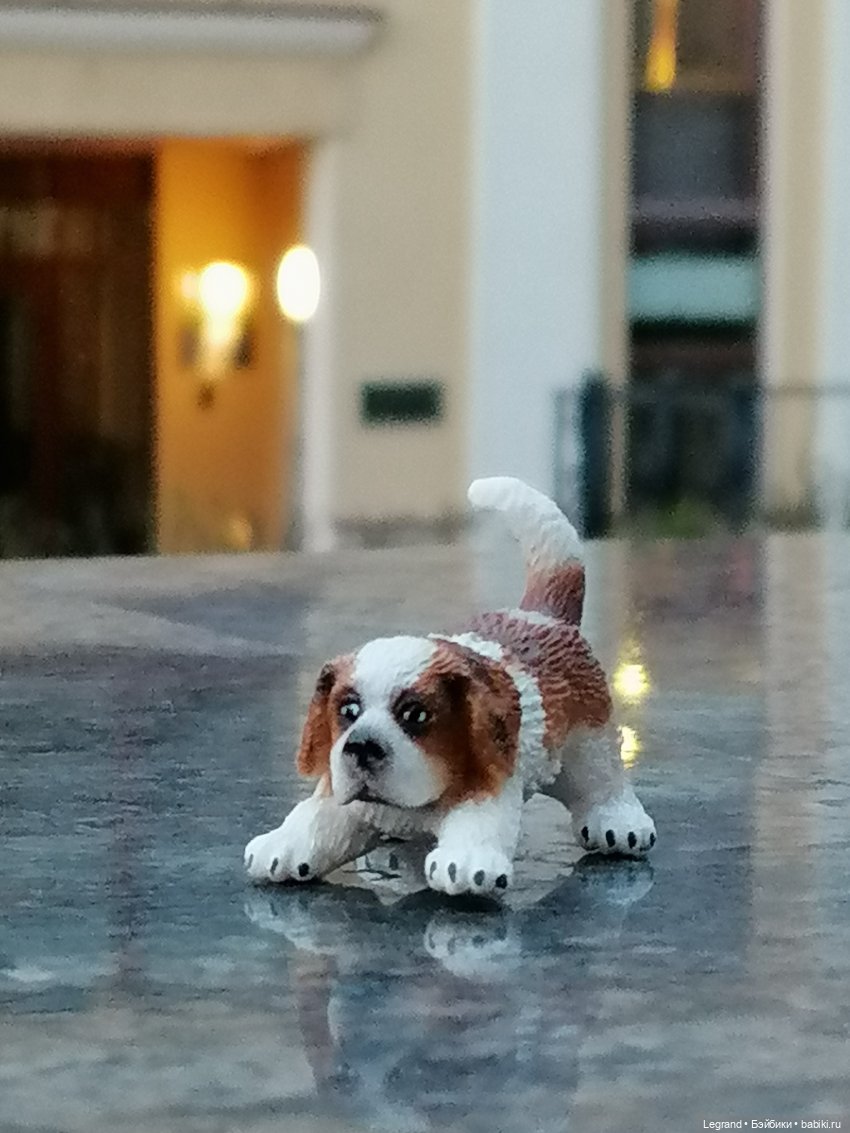 Санкт-Петербург: в Таврическом саду с Джаном