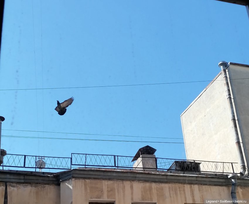 Лурения - Петербург: День гуляний по крышам😊