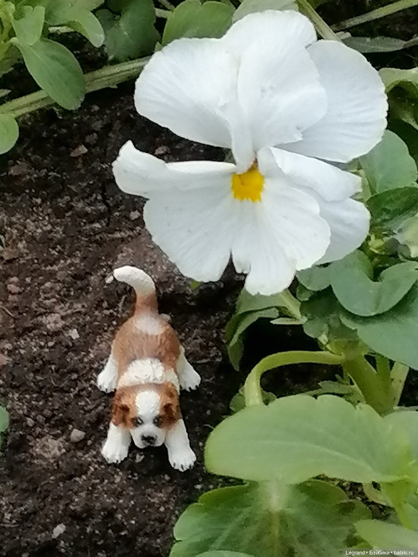 Санкт-Петербург: в Таврическом саду с Джаном