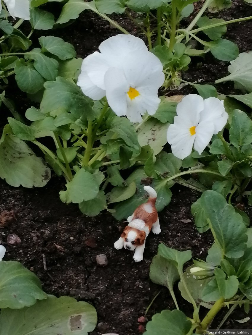 Санкт-Петербург: в Таврическом саду с Джаном