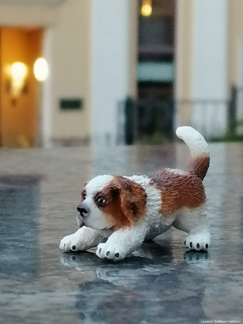 Санкт-Петербург: в Таврическом саду с Джаном