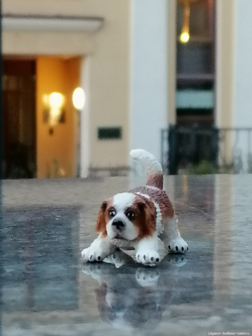 Санкт-Петербург: в Таврическом саду с Джаном