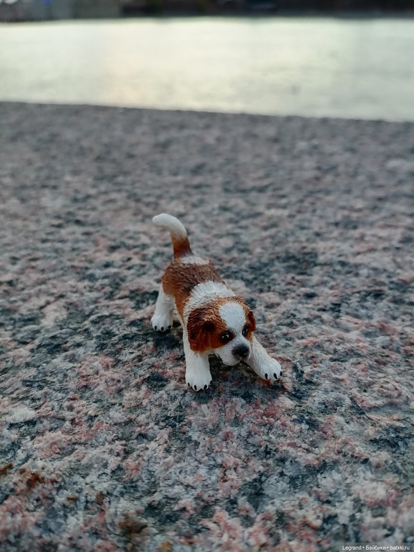 Санкт-Петербург: закат на Неве - прогулка с Джаном