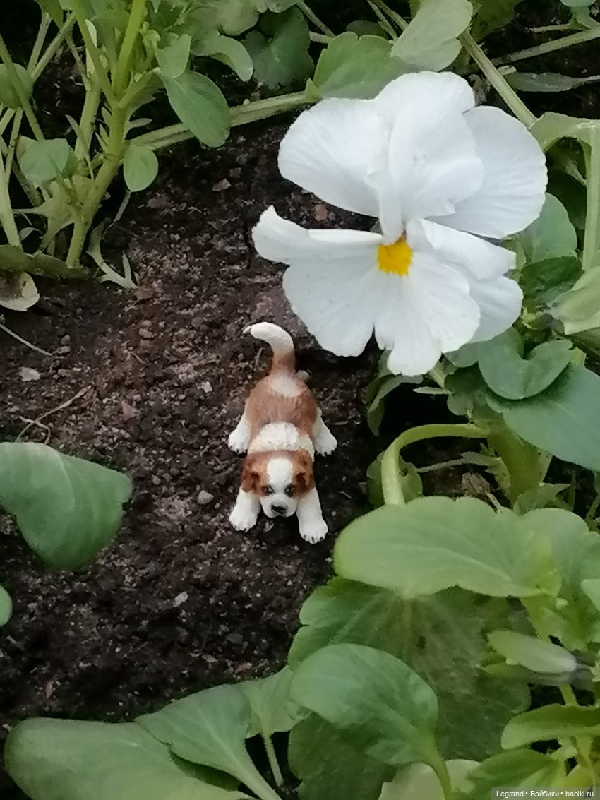 Санкт-Петербург: в Таврическом саду с Джаном