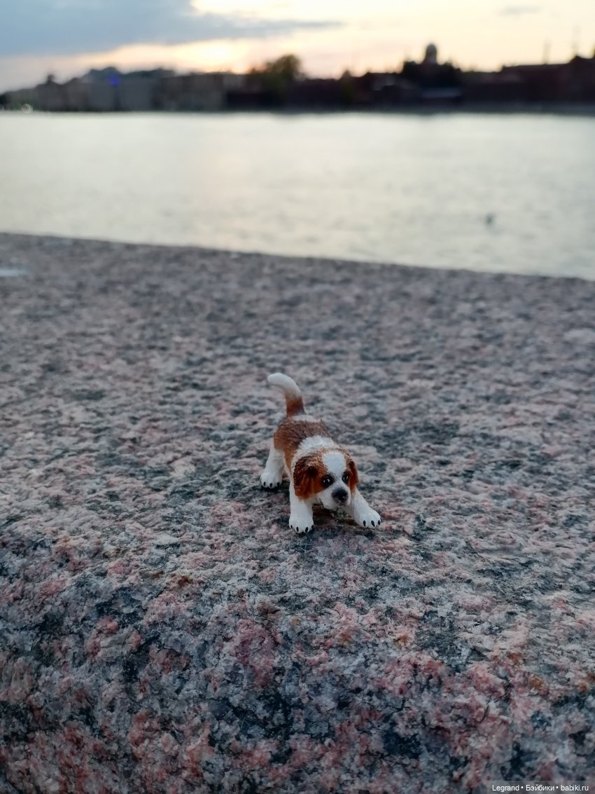 Санкт-Петербург: закат на Неве - прогулка с Джаном