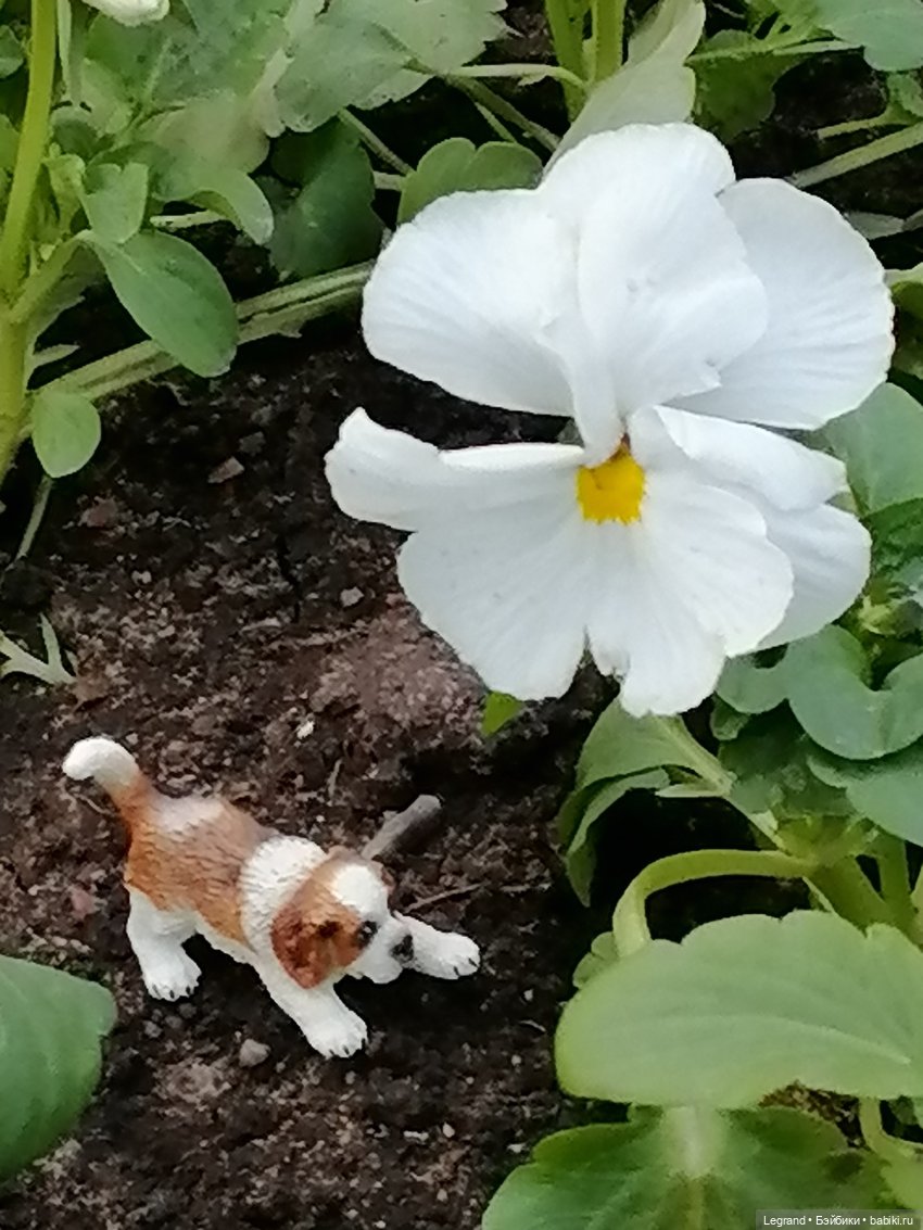 Санкт-Петербург: в Таврическом саду с Джаном