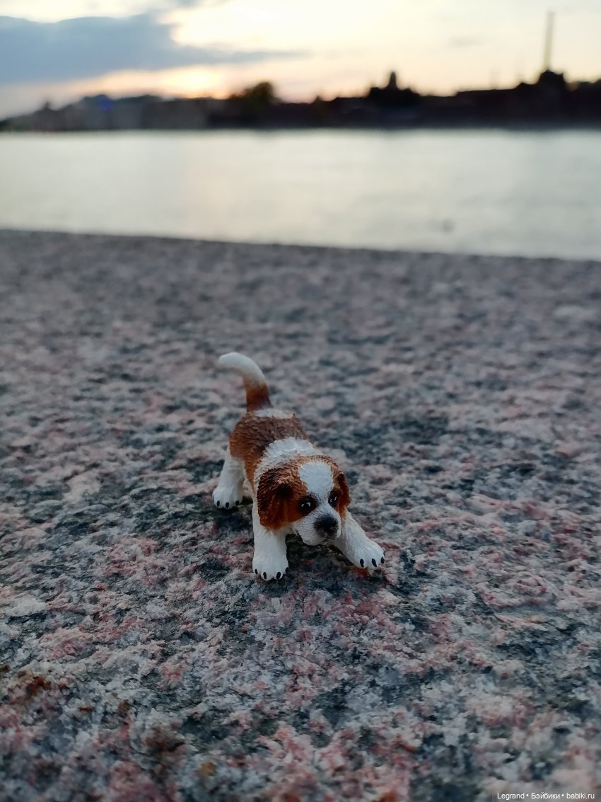 Санкт-Петербург: закат на Неве - прогулка с Джаном