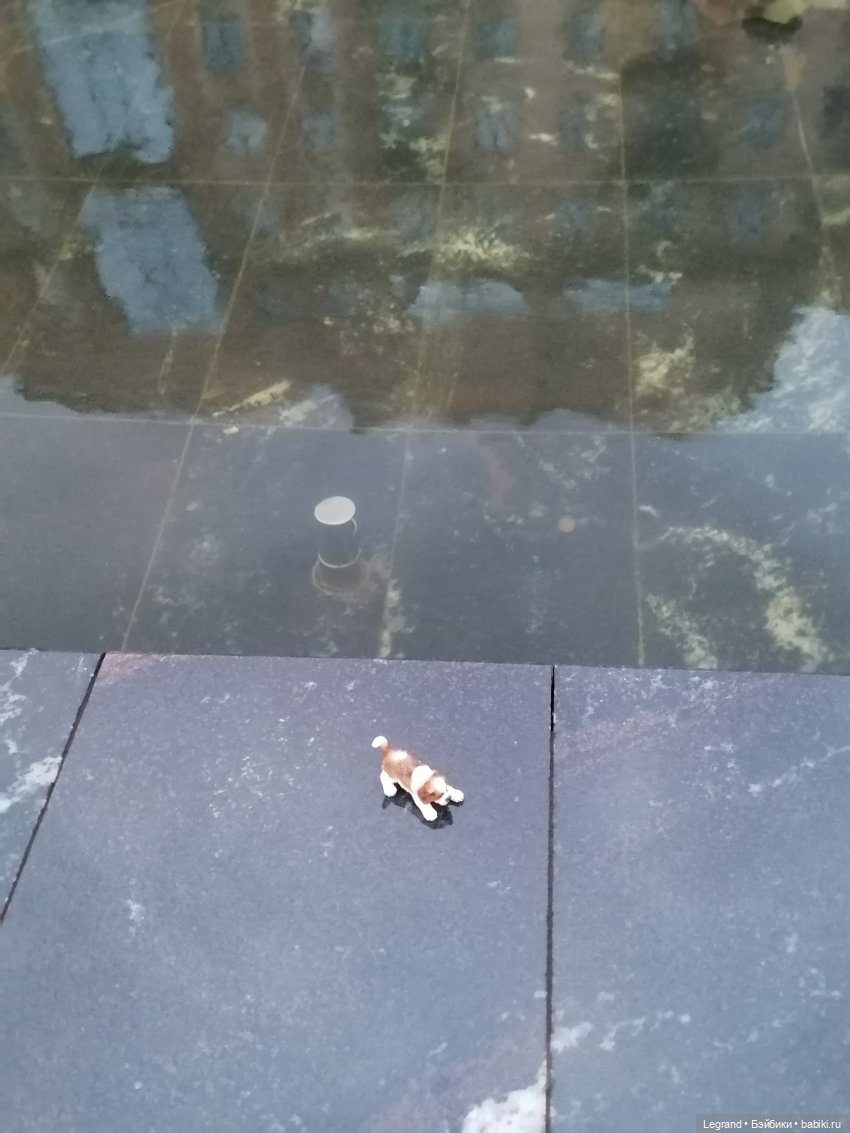 Санкт-Петербург: в Таврическом саду с Джаном