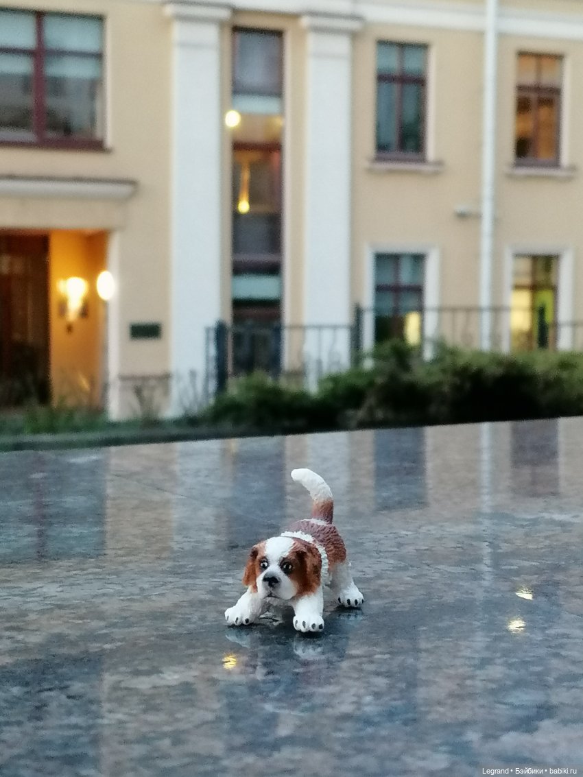 Санкт-Петербург: в Таврическом саду с Джаном