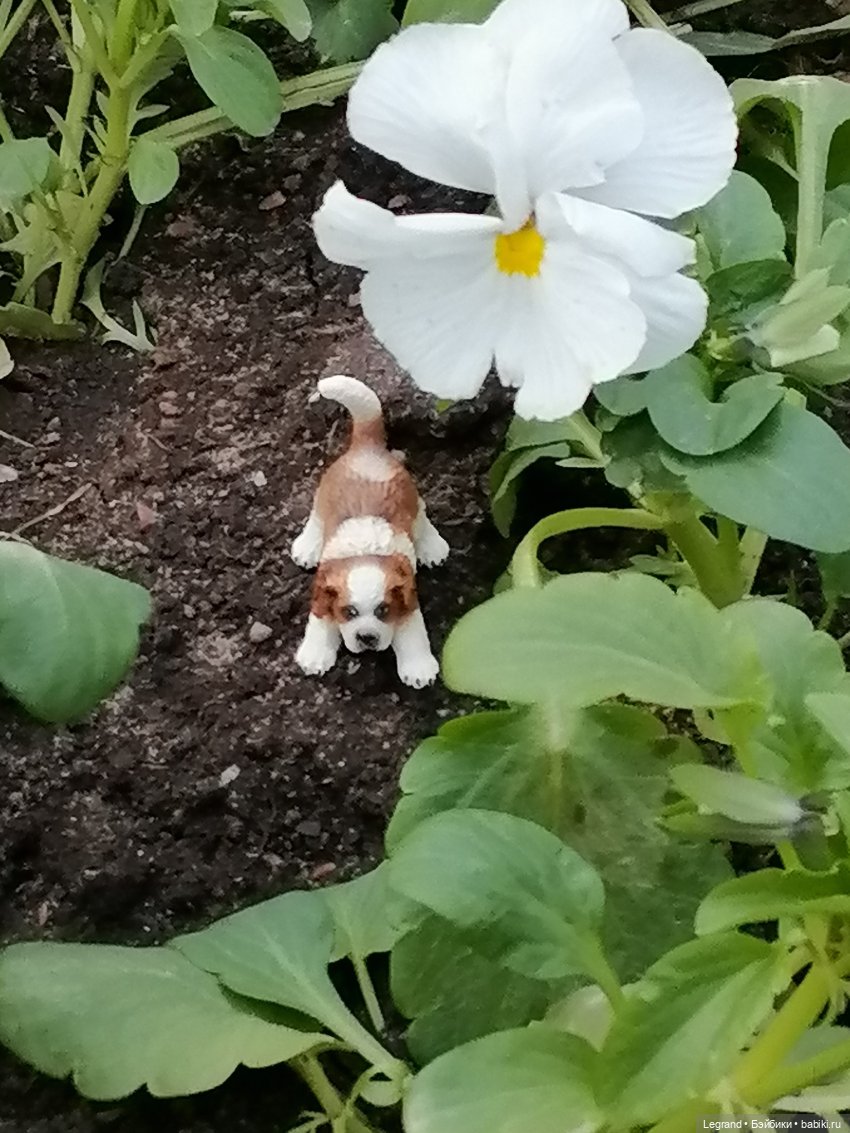 Санкт-Петербург: в Таврическом саду с Джаном