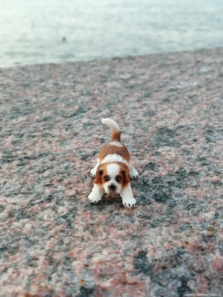 Санкт-Петербург: закат на Неве - прогулка с Джаном