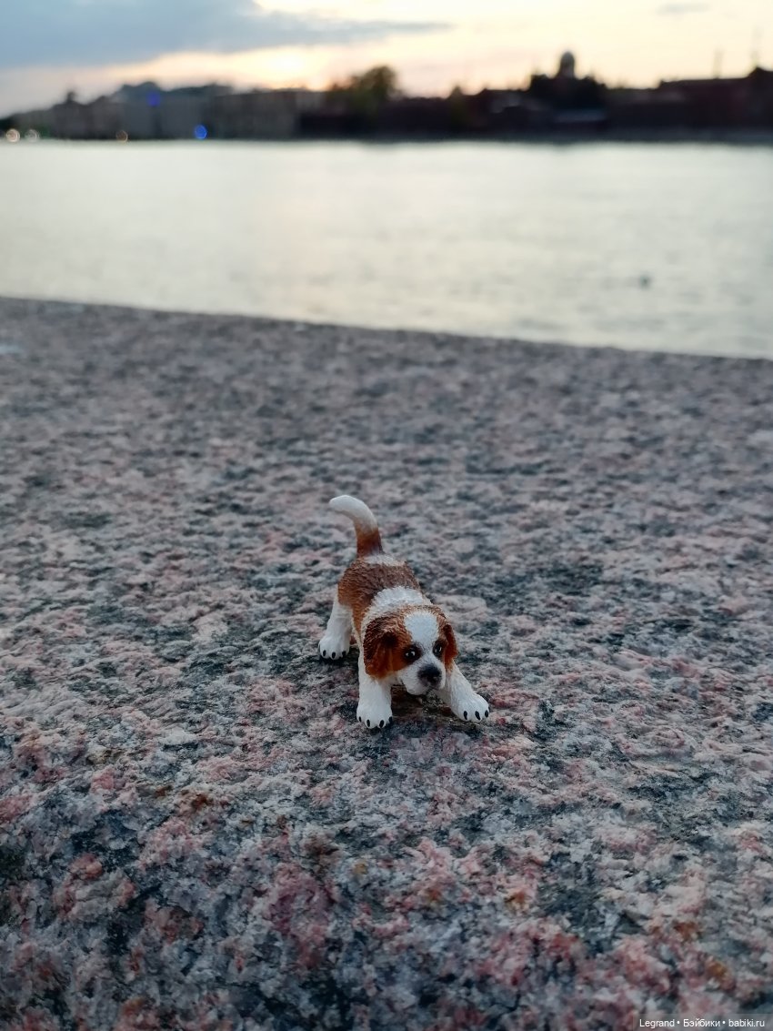 Санкт-Петербург: закат на Неве - прогулка с Джаном