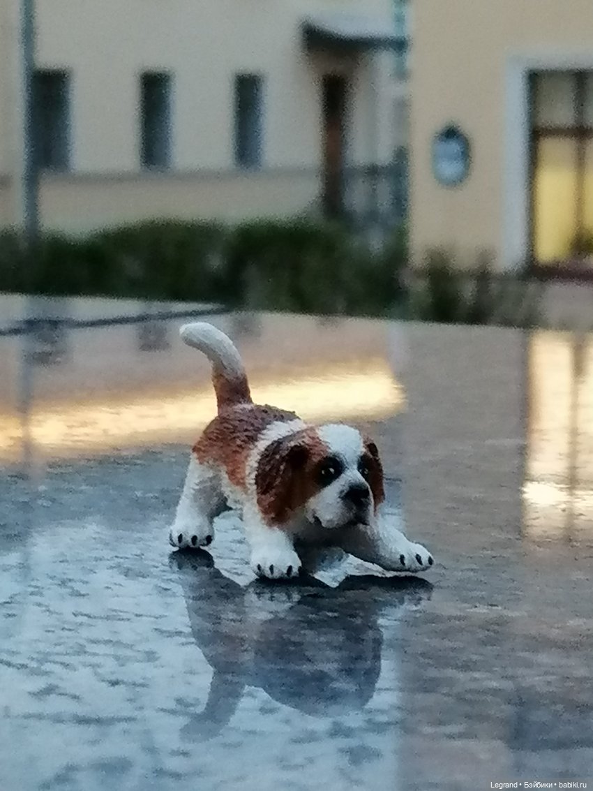 Санкт-Петербург: в Таврическом саду с Джаном