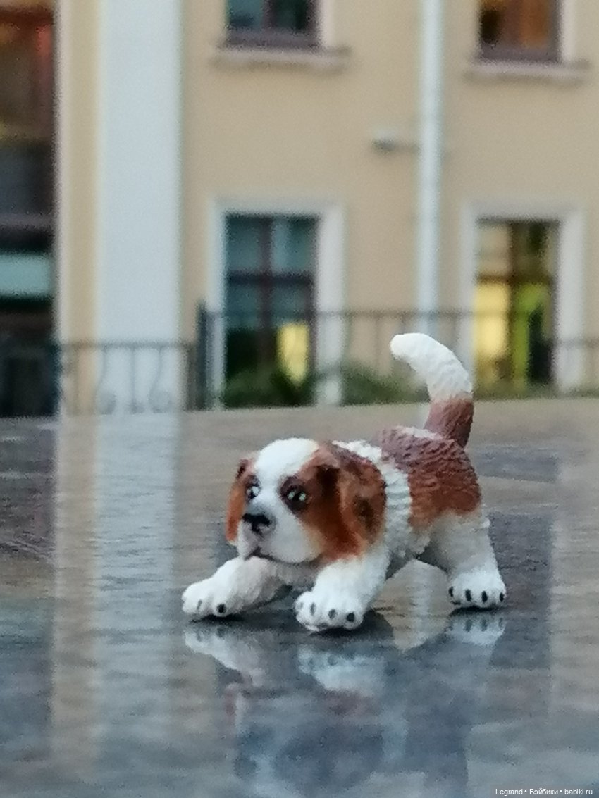 Санкт-Петербург: в Таврическом саду с Джаном