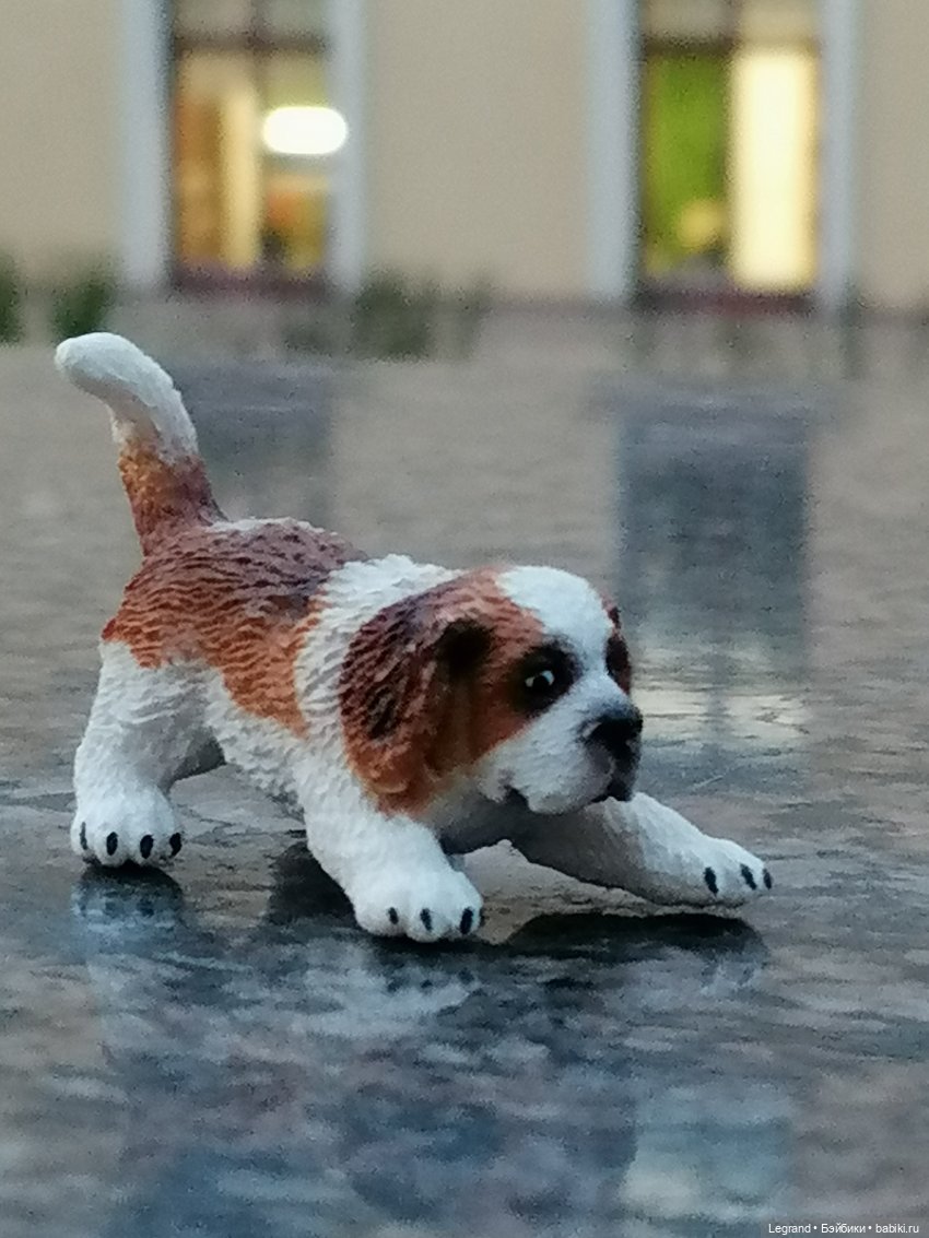 Санкт-Петербург: в Таврическом саду с Джаном