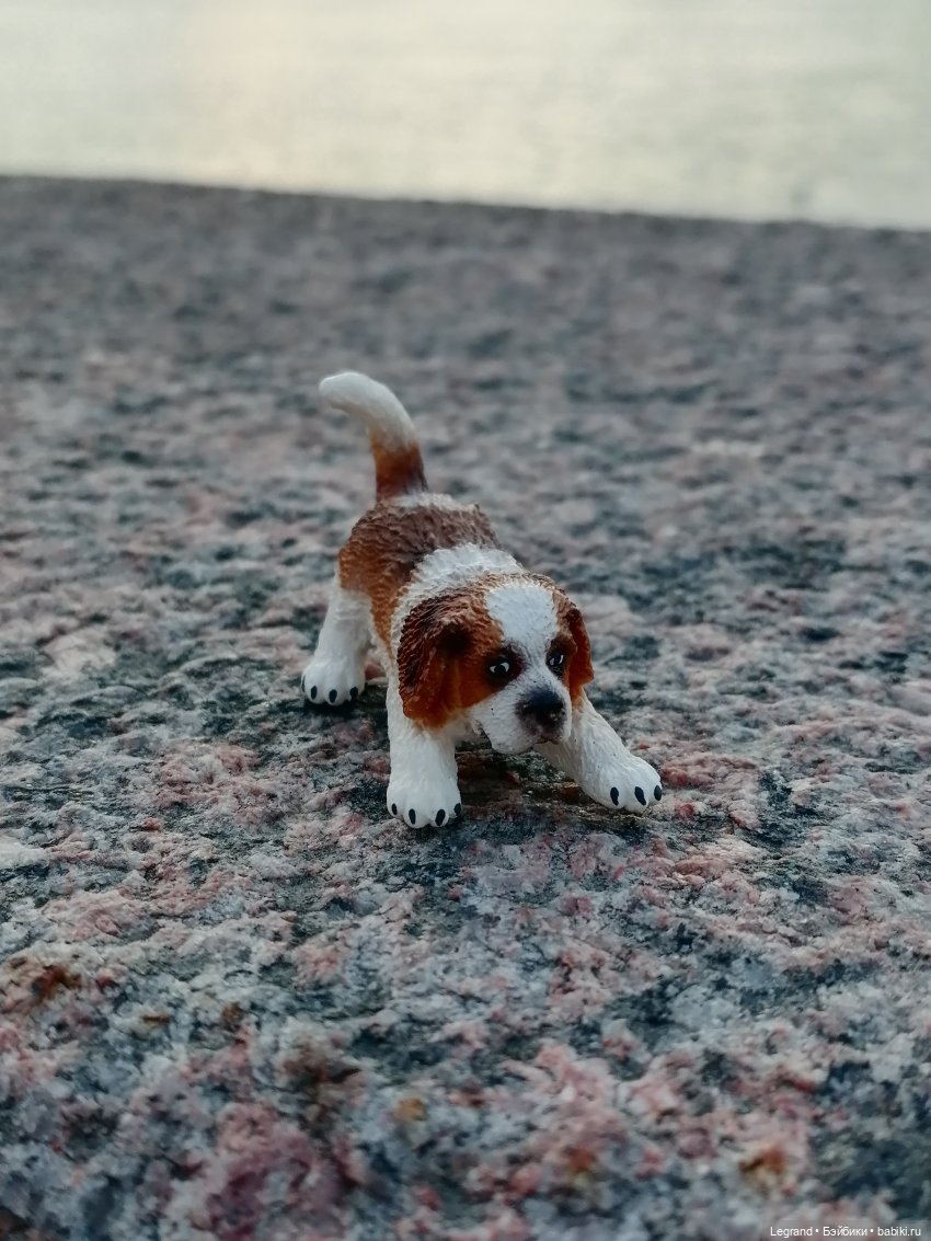 Санкт-Петербург: закат на Неве - прогулка с Джаном