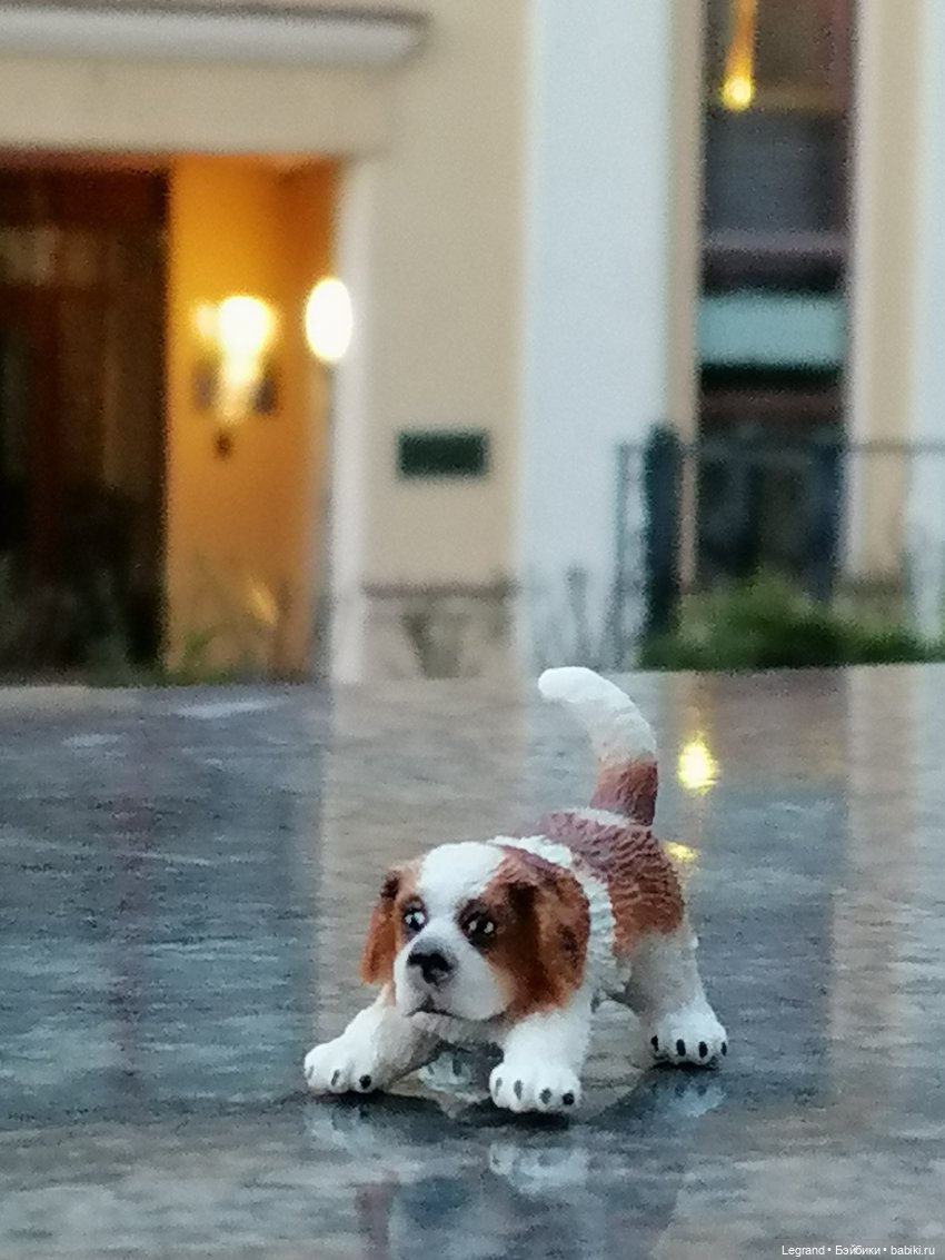 Санкт-Петербург: в Таврическом саду с Джаном