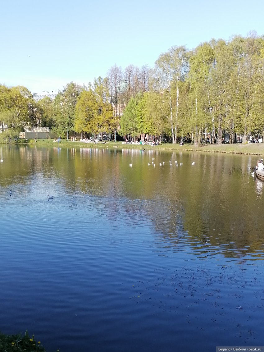 Лурения - Петербург: Берен на прогулке