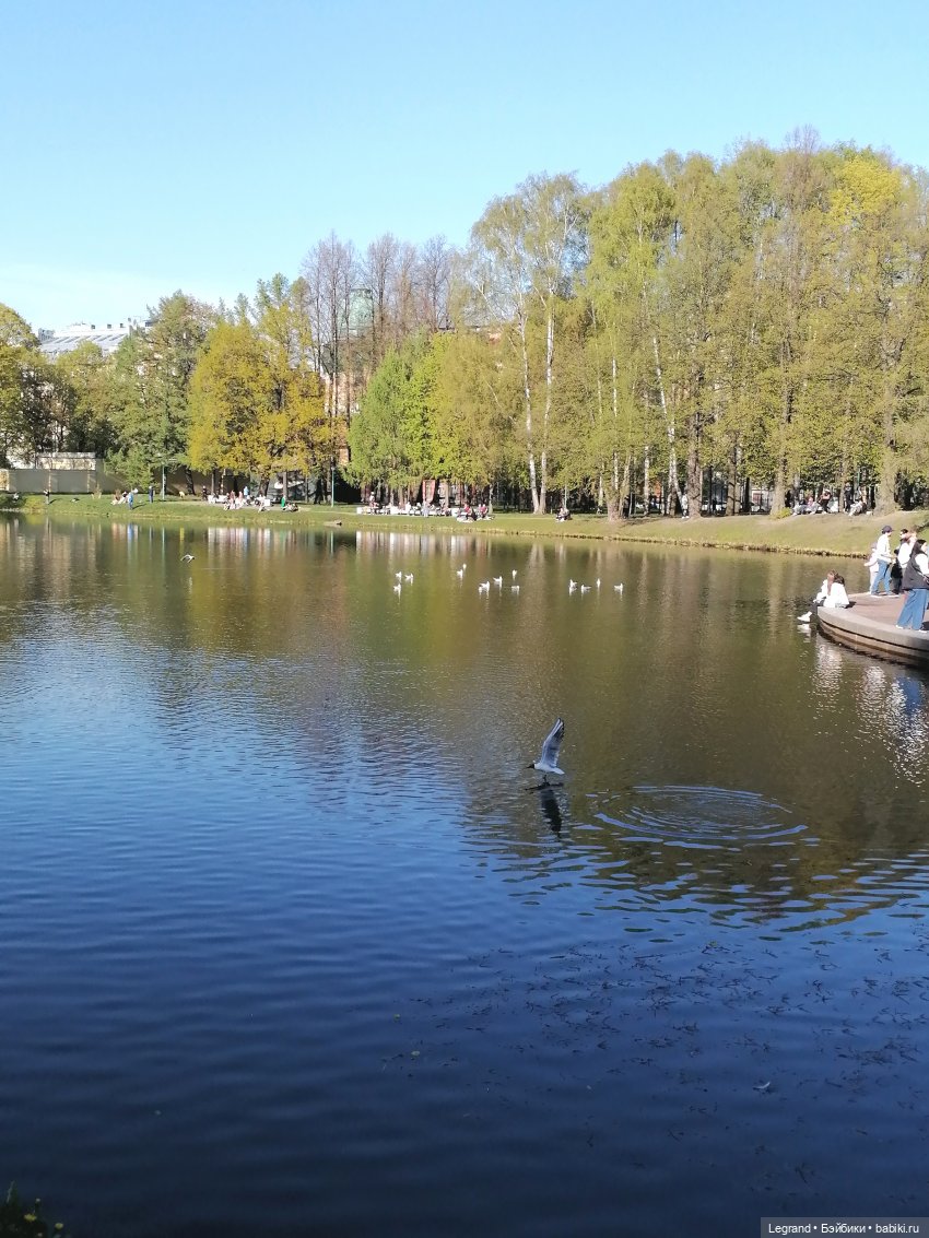 Лурения - Петербург: Берен на прогулке