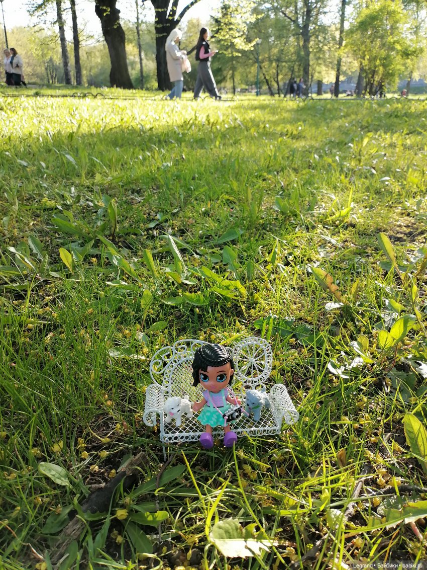 Берен и собачки в Таврическом саду (фото 4)