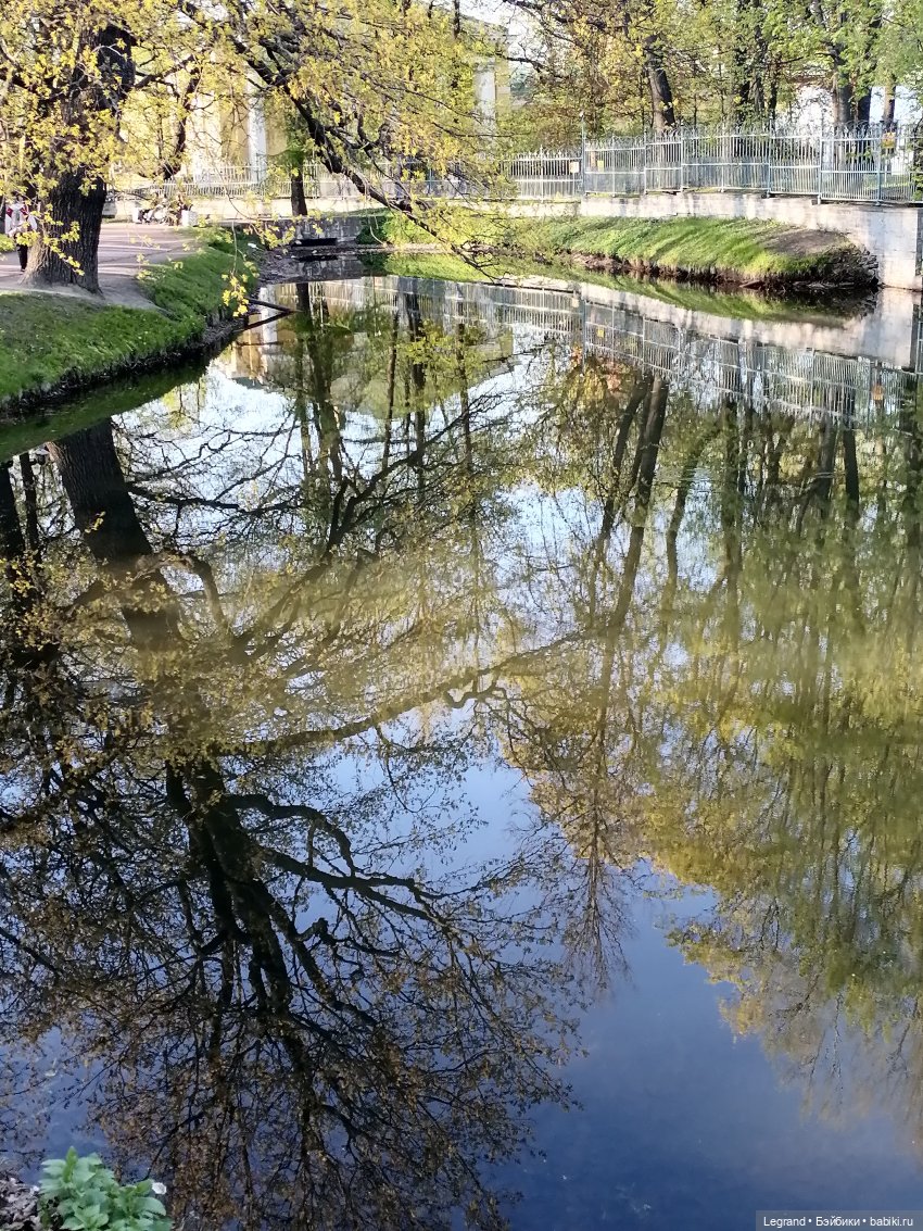 Берен и собачки в Таврическом саду