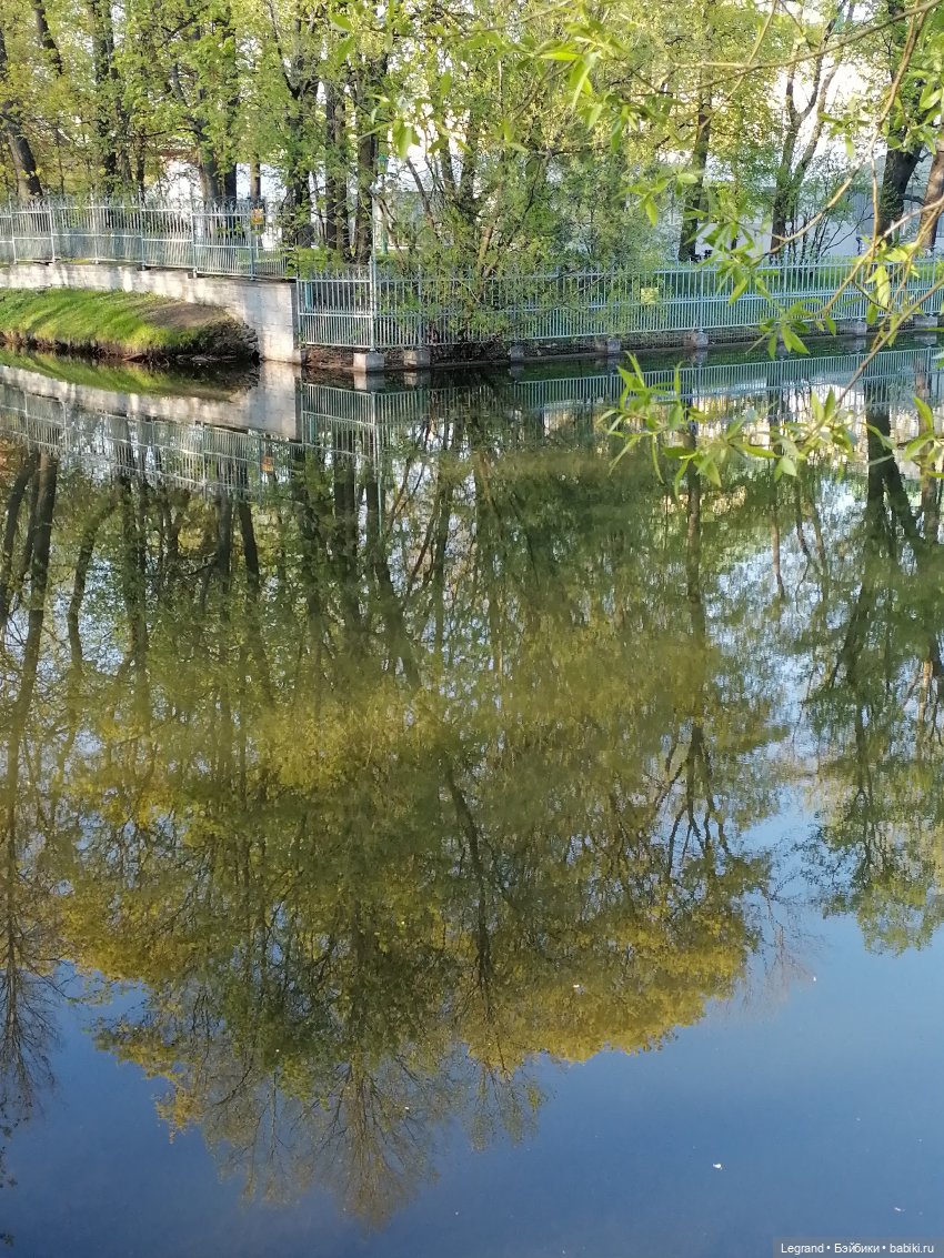 Берен и собачки в Таврическом саду
