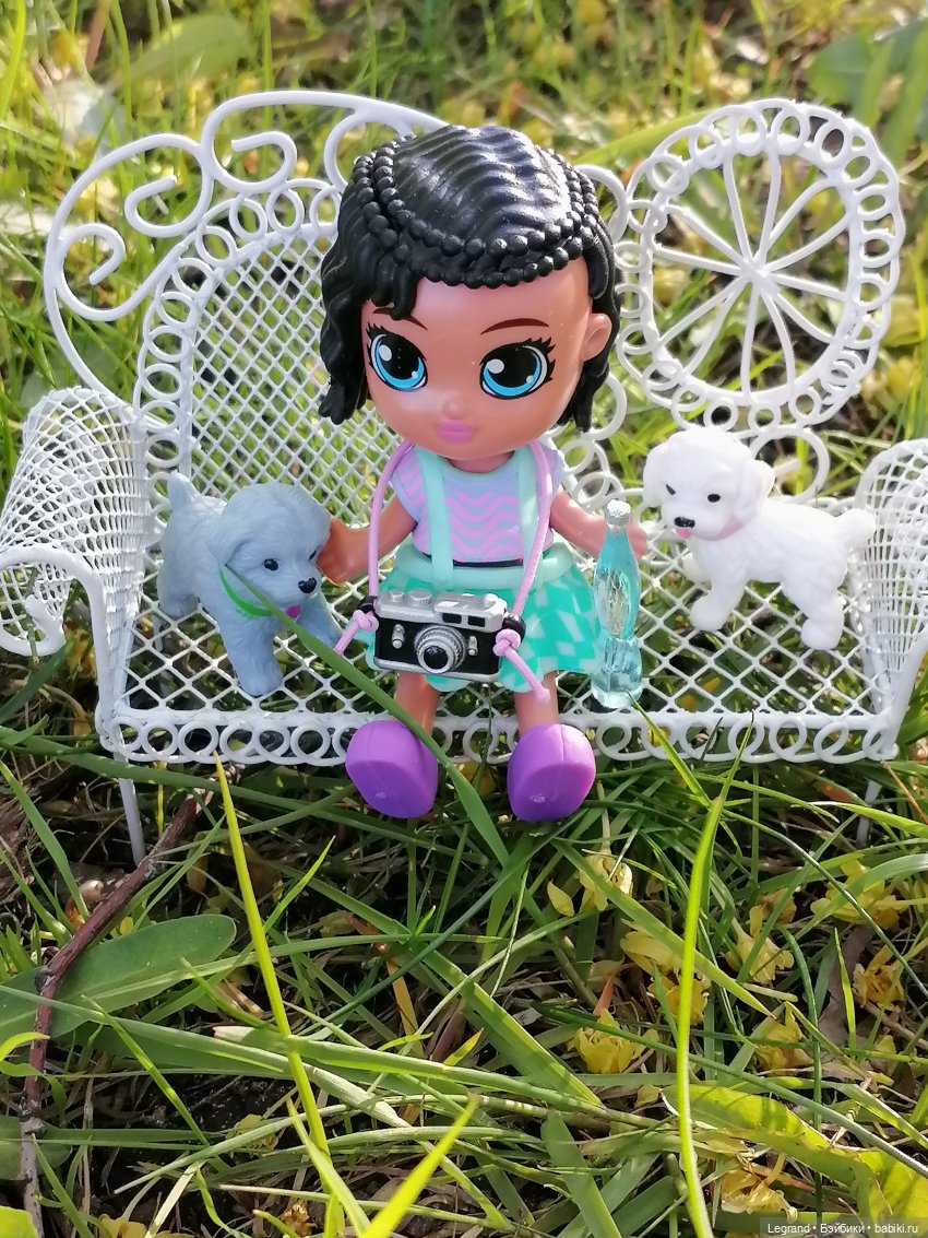 Берен и собачки в Таврическом саду (фото 6)