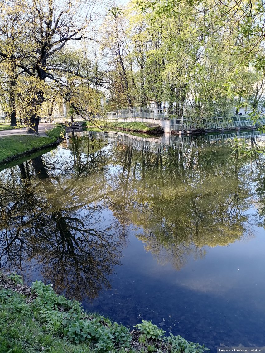 Берен и собачки в Таврическом саду