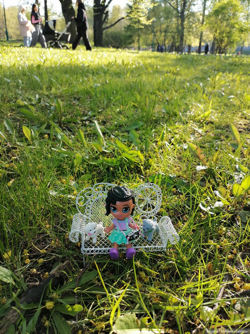 Берен и собачки в Таврическом саду (фото 3)