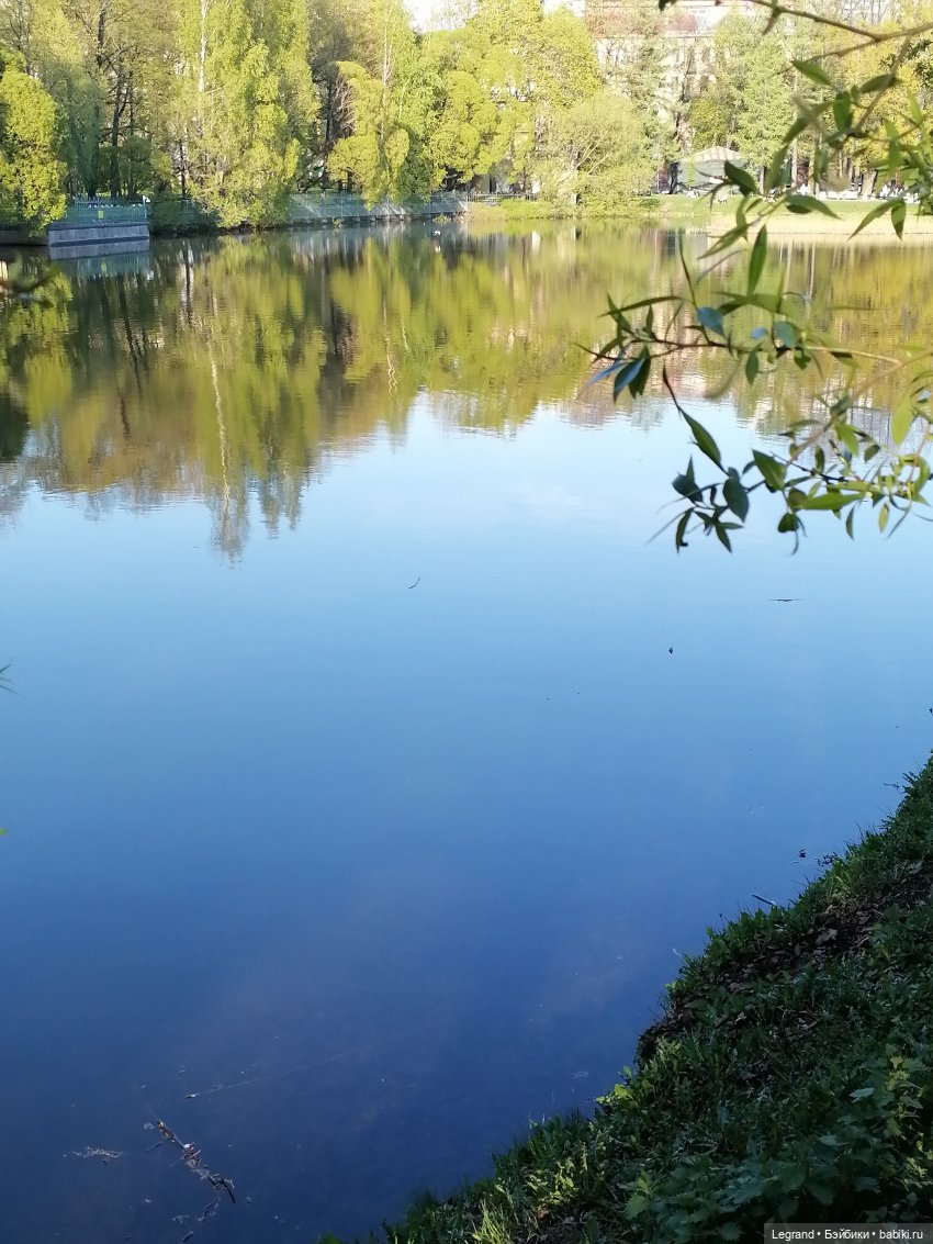 Лурения - Петербург: Берен на прогулке