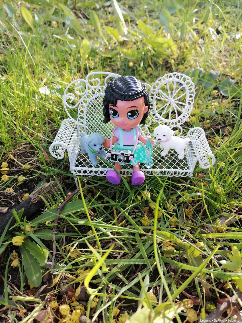 Берен и собачки в Таврическом саду (фото 5)