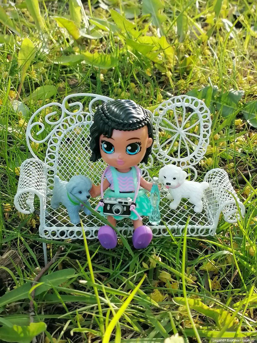 Берен и собачки в Таврическом саду (фото 8)